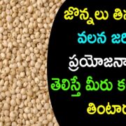 Sorghum Benefits