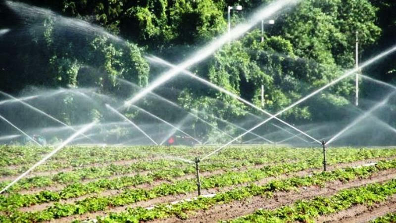 Sprinkler Irrigation