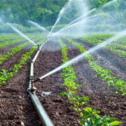 Sprinkler Irrigation Method