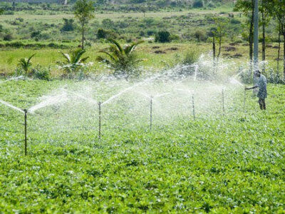 Irrigation