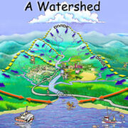 Watershed