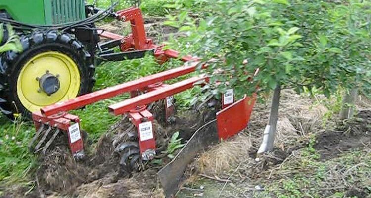 Weed Management in Orchards