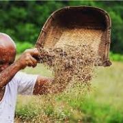 Winnowing