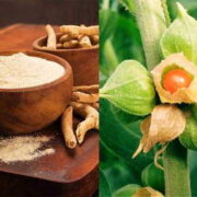 Ashwagandha Health Benefits