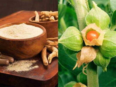 Ashwagandha Health Benefits