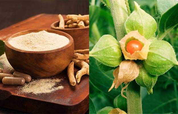 Ashwagandha Health Benefits