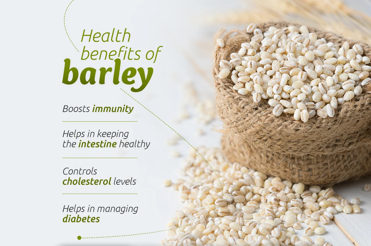 Health Benefits of Barley Seeds.