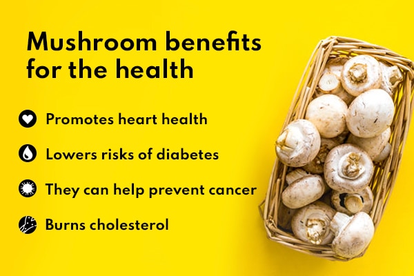 Benefits of Mushroom