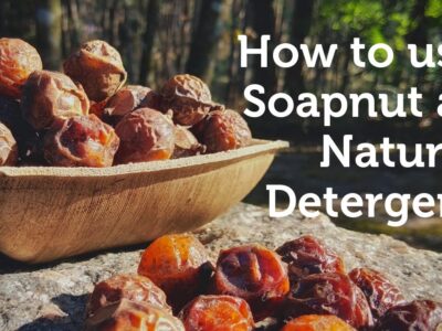 SoapNut Natural Detergent