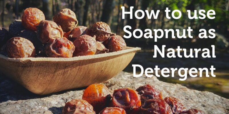 SoapNut Natural Detergent