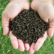 Benefits of Nitrogen Fertilizers