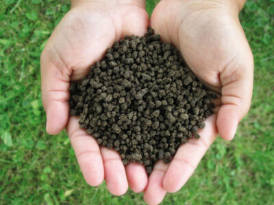 Benefits of Nitrogen Fertilizers