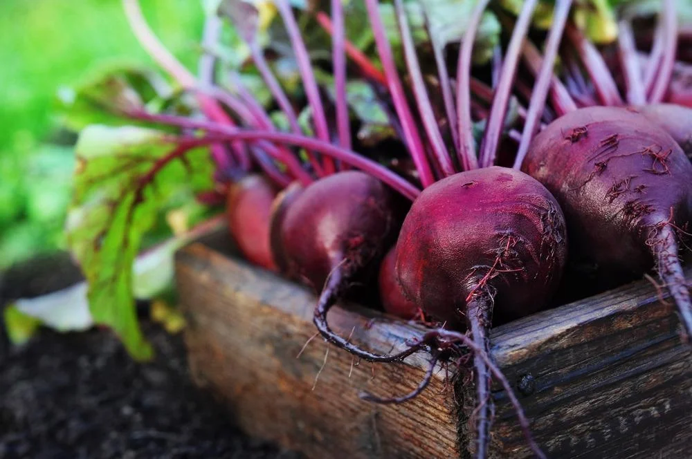 Carrot and Beetroot Health Benefits