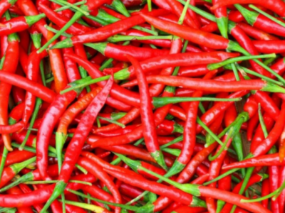 chillies Production