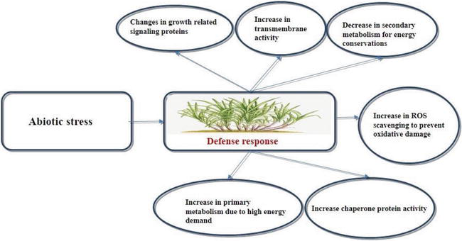 Climate Effects On Sugarcane Juice