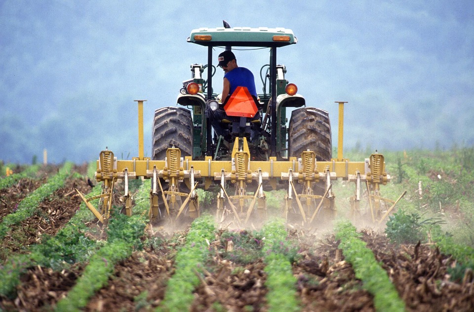 using tractor drawn seed drill or by dibbling.