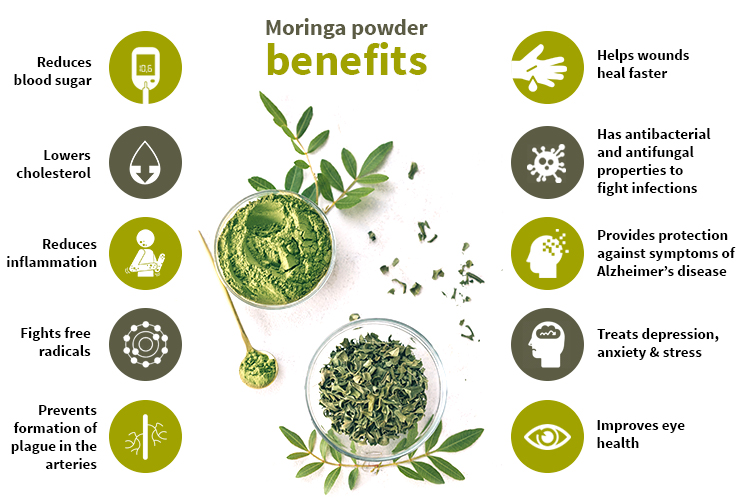 Moringa(Drumstick) Powder Benefits