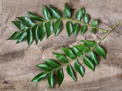 Curry leaves