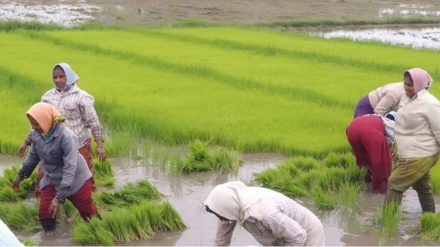 Farmer Success Story