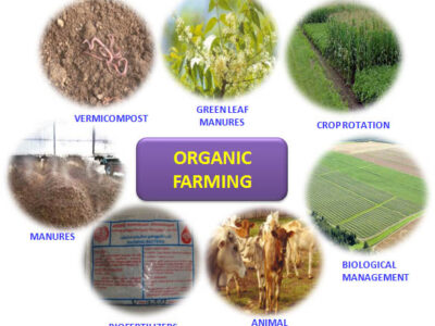 Organic Farming