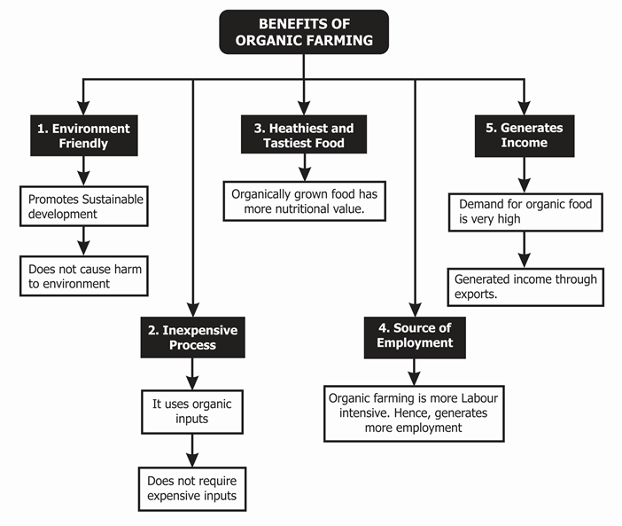 Benefits of Organic Farming