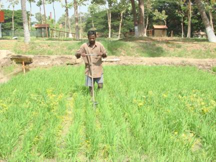 Nutrient management System