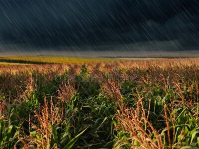 Fruit Crop Protection