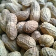 Groundnut Value Addition