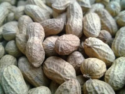 Groundnut Value Addition