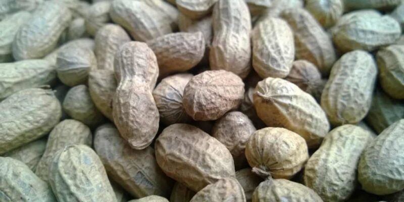 Groundnut Value Addition