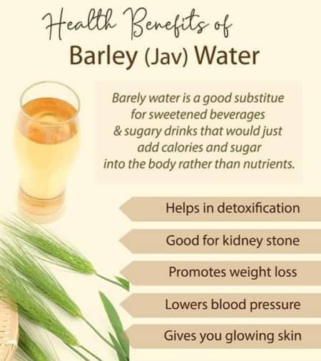 Benefits of Barley seeds (water)