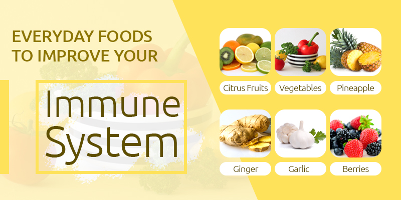 Food to your Immune System