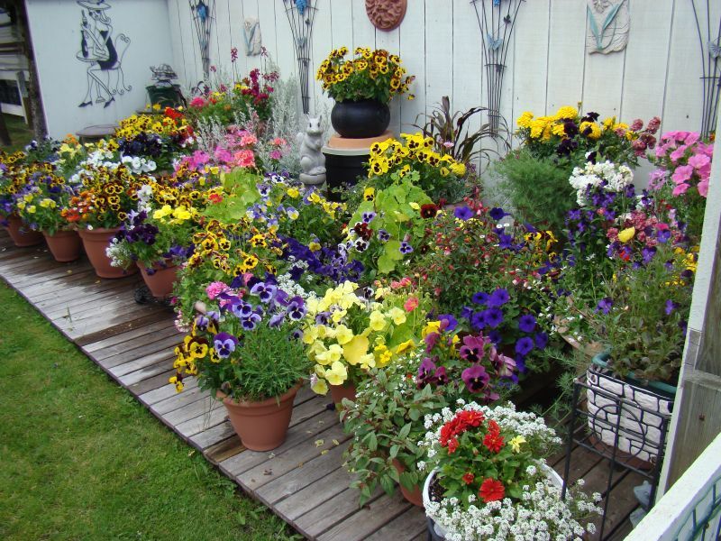 Importance of Floriculture: