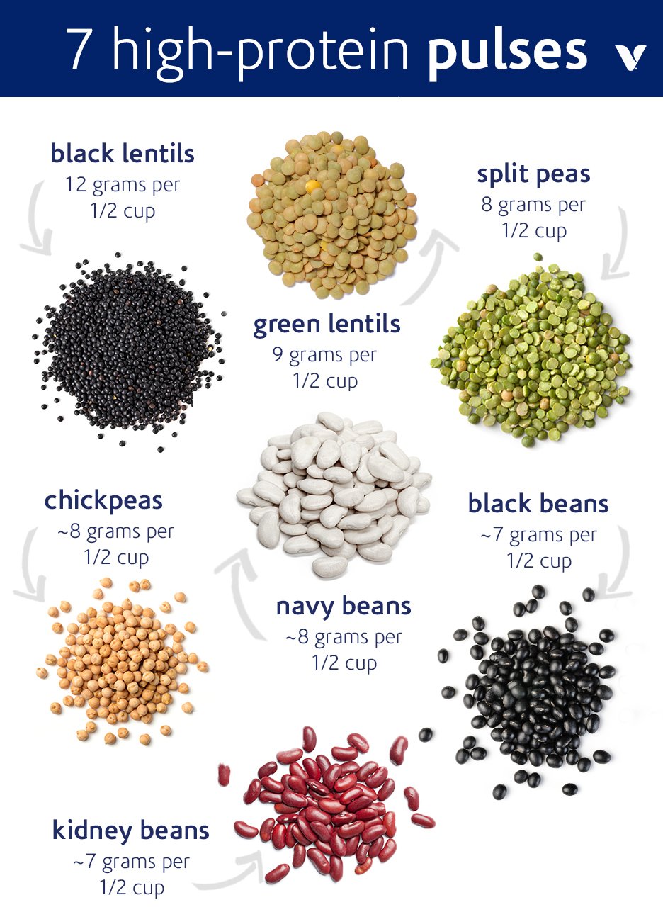 High Proteins of Pluse Crops