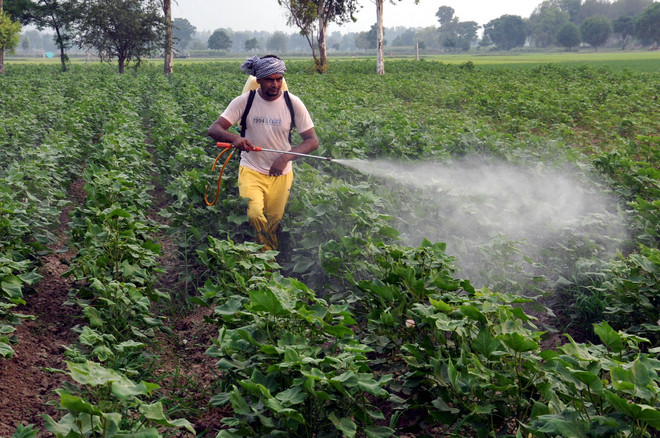 Pesticides used in Cotton Crop