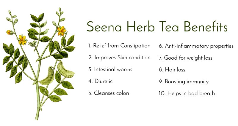 Senna Tea Health Benefits