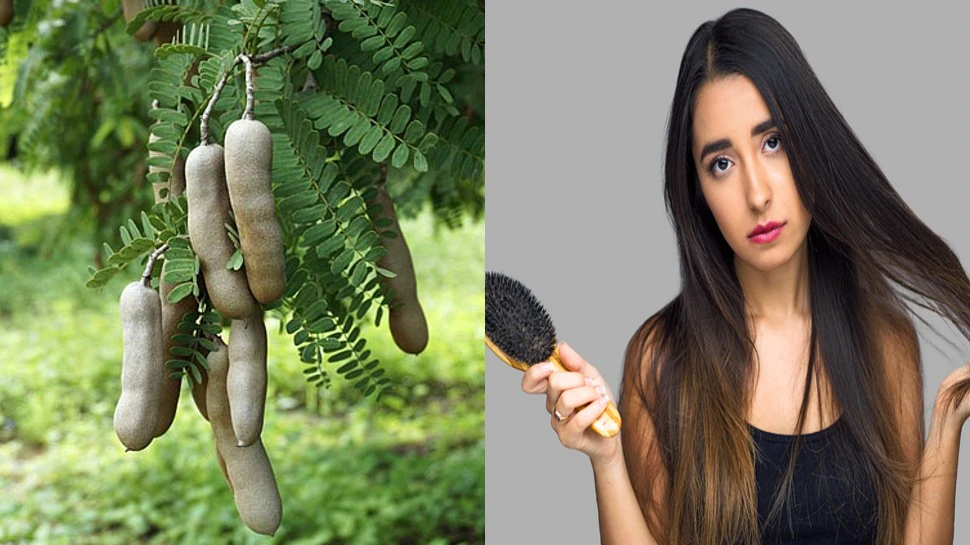 Tamarind Leaves Hair Solution