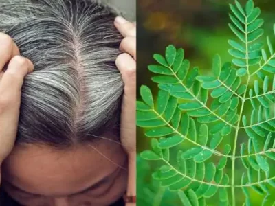 Tamarind Leaves Hair Solution