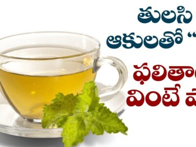 Tulsi Tea Benefits