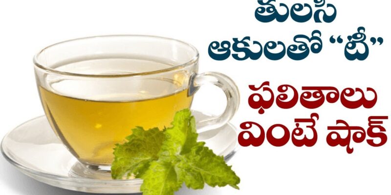 Tulsi Tea Benefits