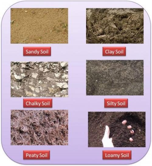 Types of Soil