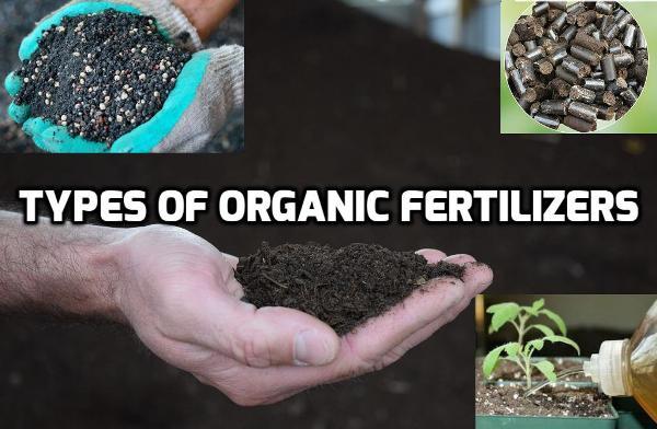 Uses of Living Fertilizers