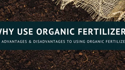 Uses of Living Fertilizers