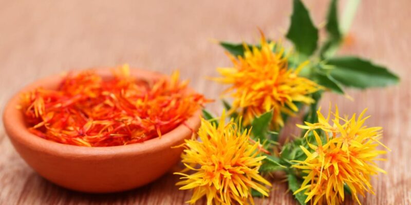 Safflower crop