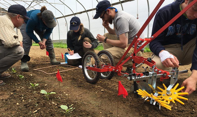 weed management for sustainable