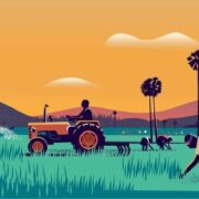 Indian Farmer