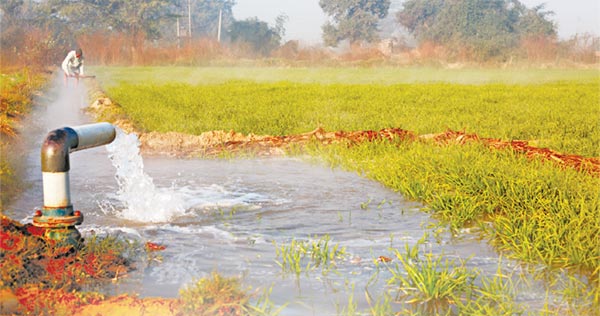 Farming Field 