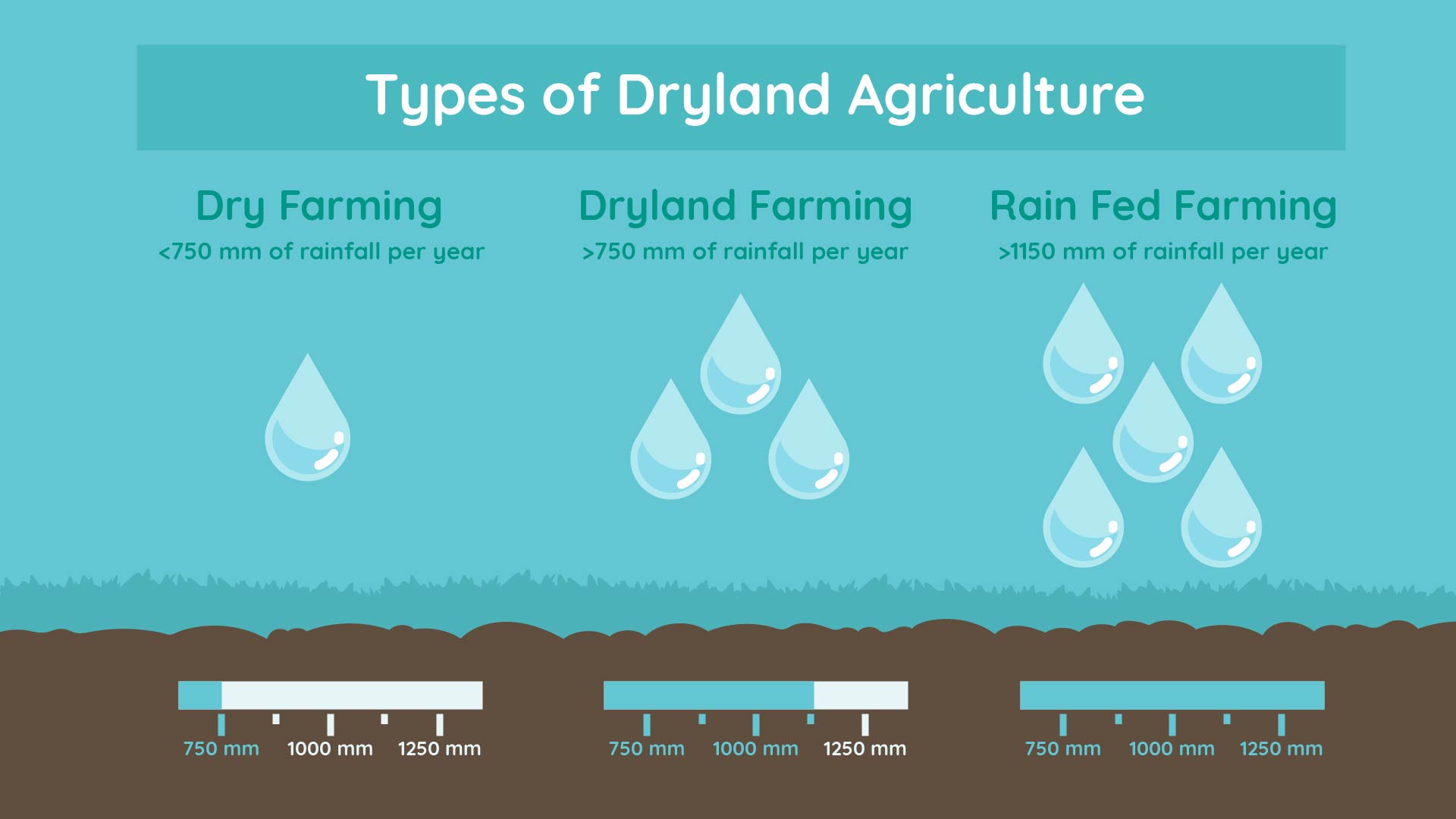 Farming Techniques in Dryland