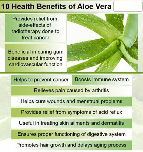 Health Benefits of Aloevera