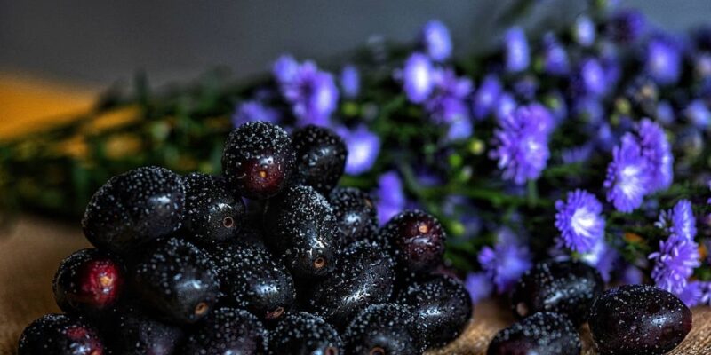 Jamun fruit